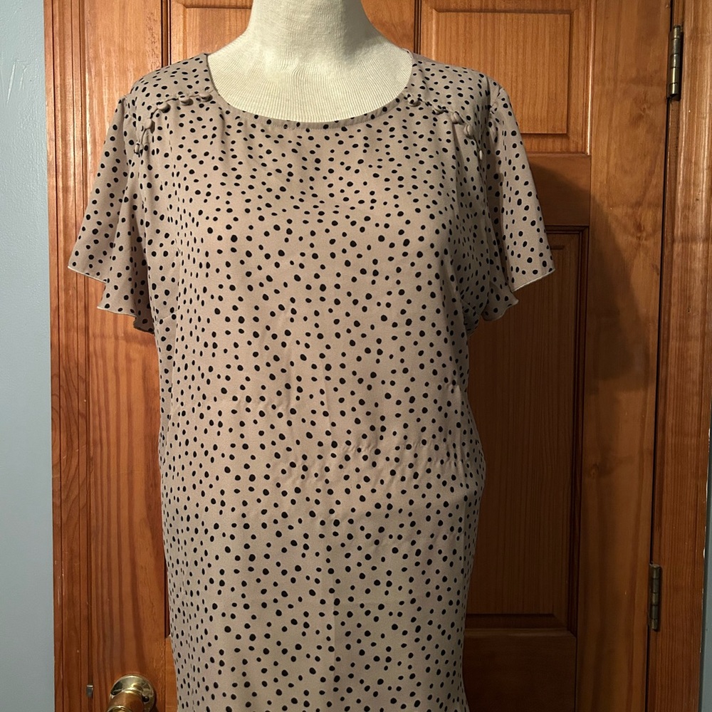 Elegant Beige Polka Dot Blouse